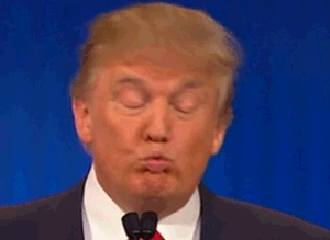 giphy (20).gif