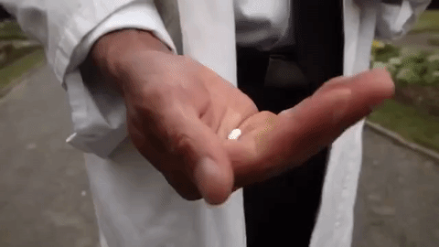 giphy (23).gif