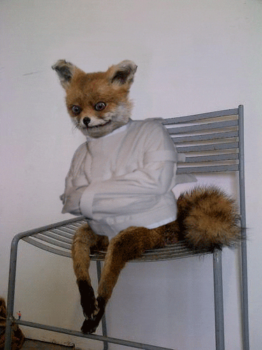 giphy-24.gif