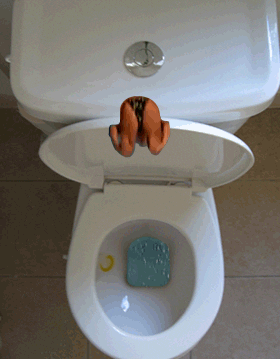 giphy (3).gif
