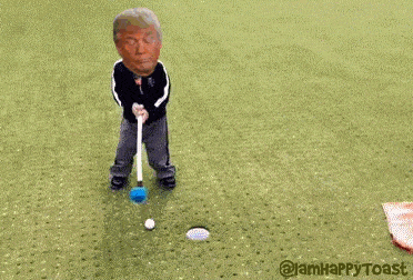 giphy (3).gif