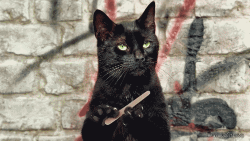 giphy (3).gif
