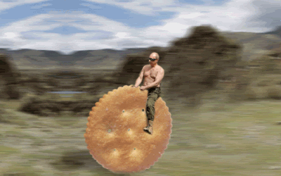 giphy (4).gif