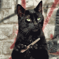 giphy (5).gif