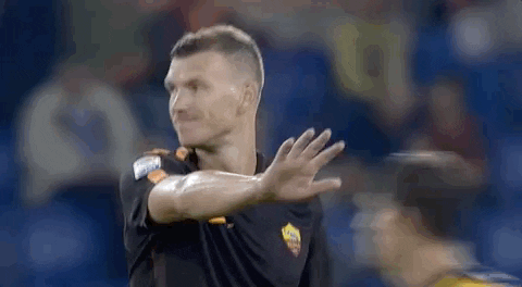 giphy (5).gif