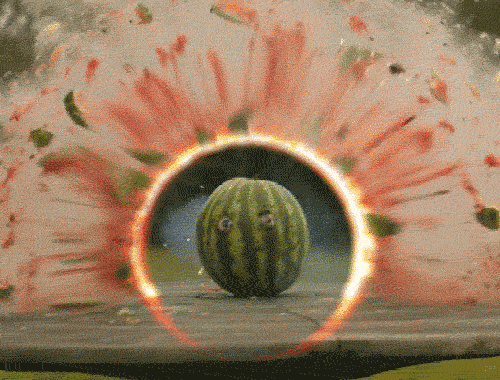 giphy (5).gif