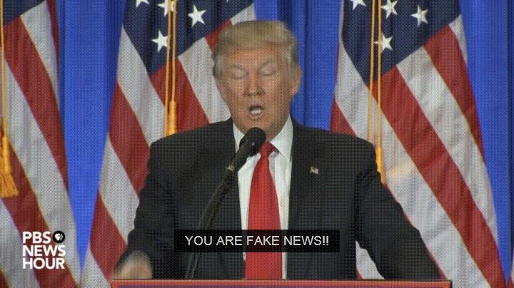 giphy (6).gif