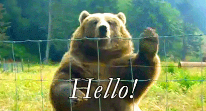 giphy (6).gif