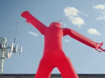 giphy.gif