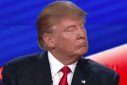 giphy42.gif