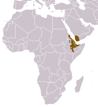 Hamadryas_Baboon_area.png
