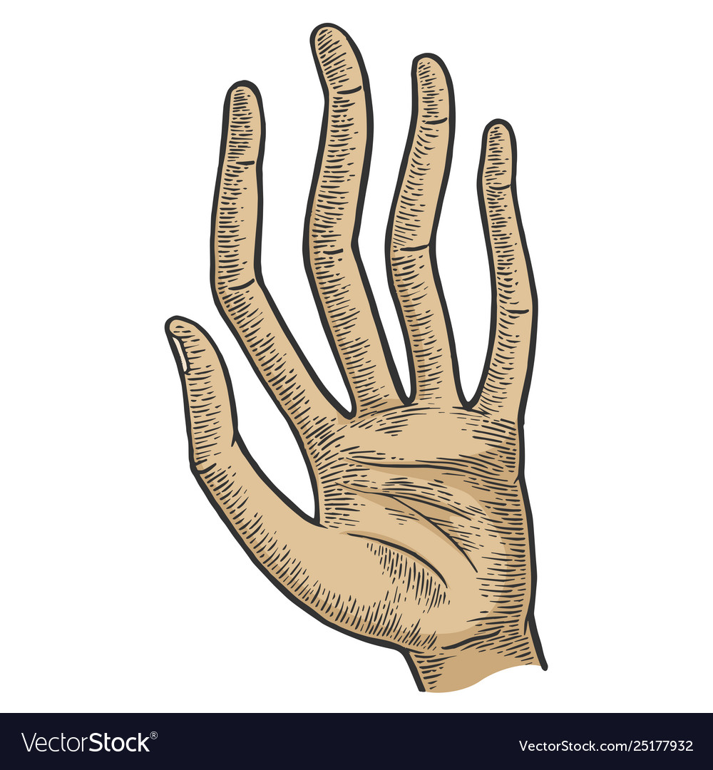 hand-with-long-spaghetti-fingers-color-sketch-vector-25177932.jpg