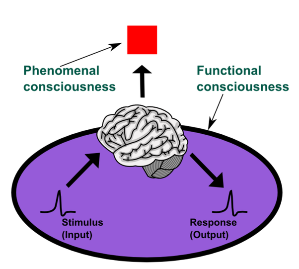 hard_problem_of_consciousness.png