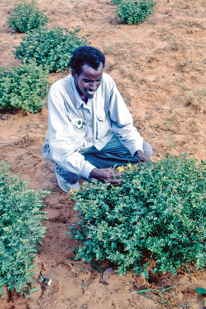heaton_abdidahir.jpg