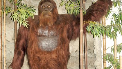 how-gigantopithecus-became-extinct-768-1024.jpg