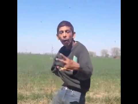 hqdefault.jpg