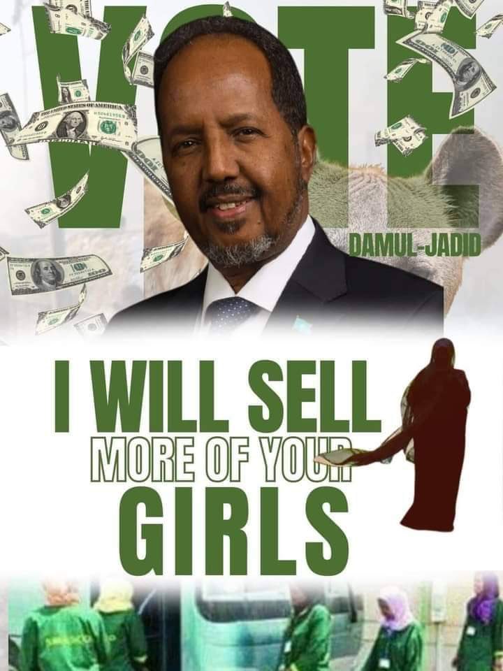 hsm.jpg