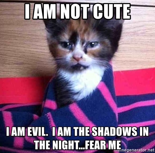 i-am-not-cute-i-am-evil-i-am-the-shadows-in-the-nightfear-me.jpg