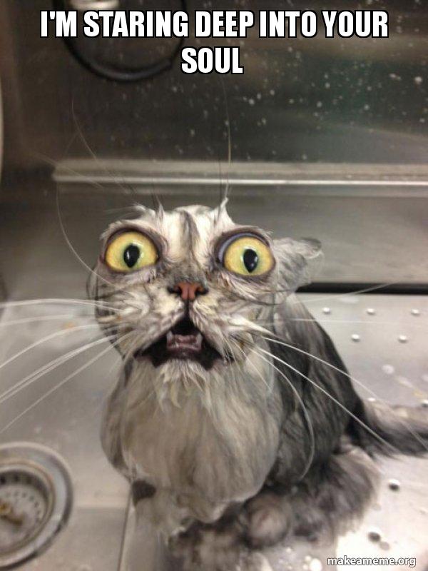 im-staring-deep-591cd8.jpg