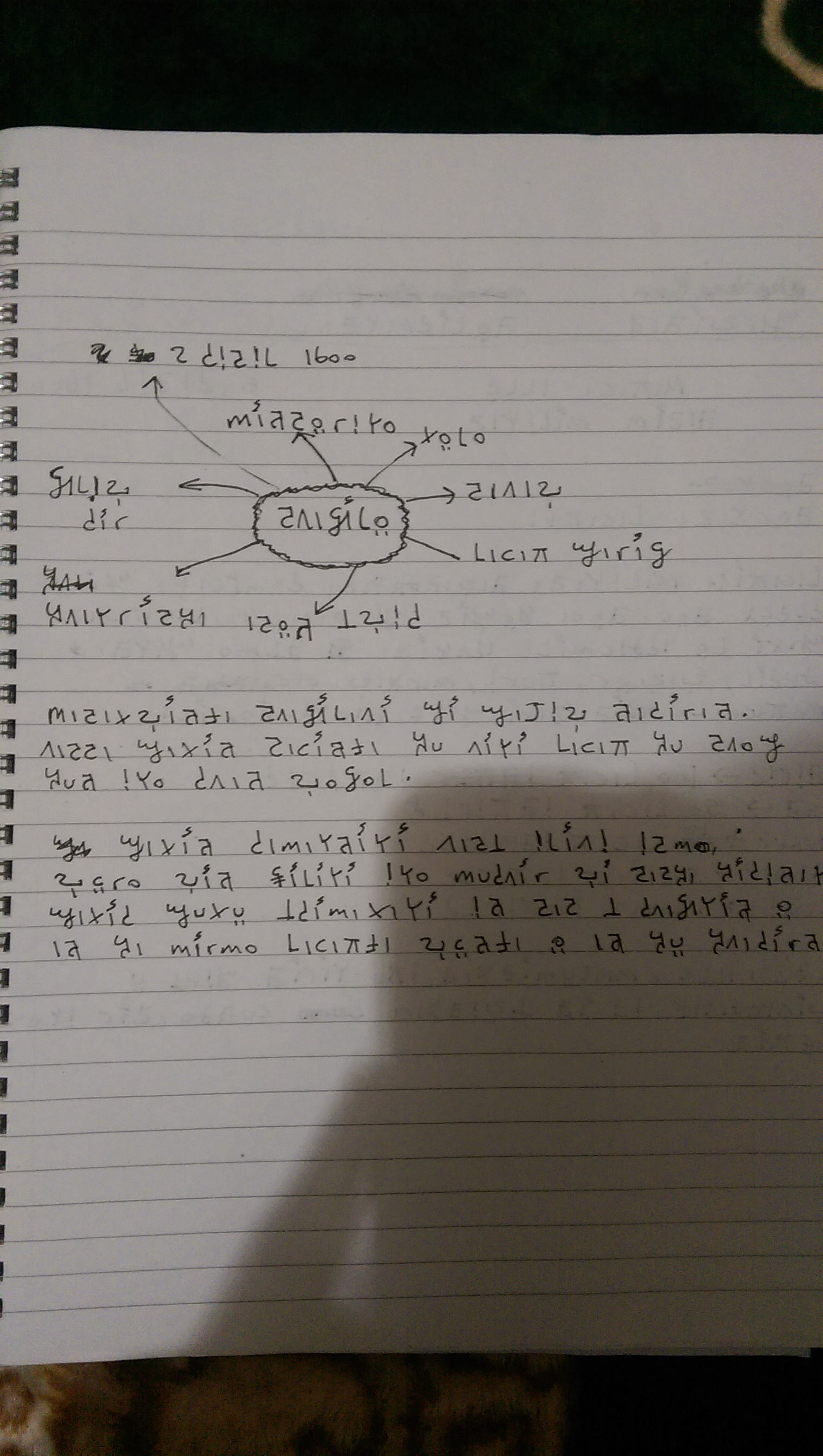 IMAG1439.jpg