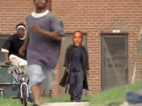 image-1.gif