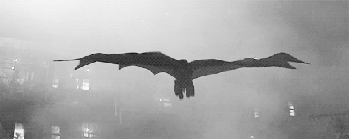 image.gif