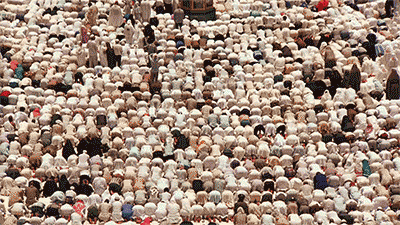 image.gif