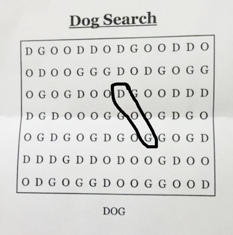image.jpeg