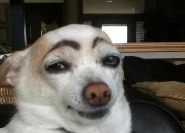 image.jpg
