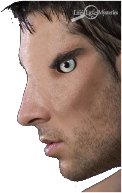 image.png