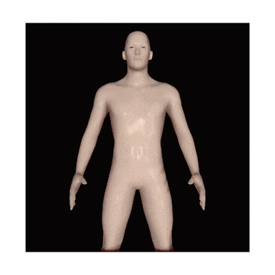 image0.gif