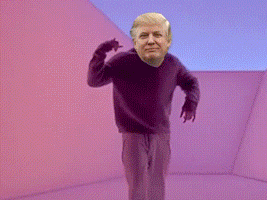 image1.gif
