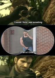 images (1).jpeg