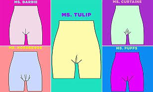 images (10).jpeg