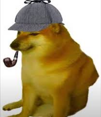 images (12).jpeg