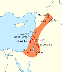 images (2).png