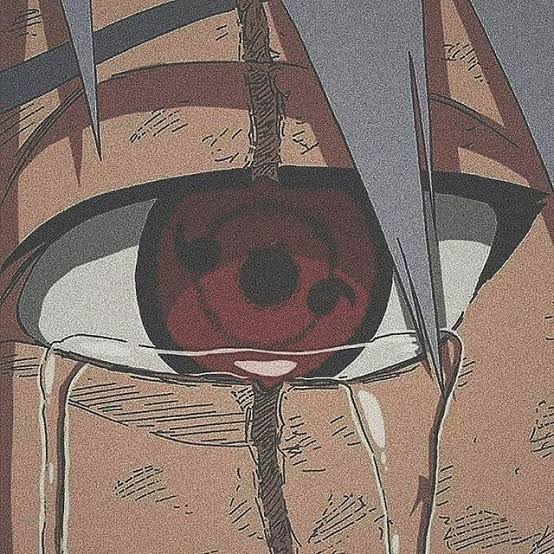 images (37).jpeg
