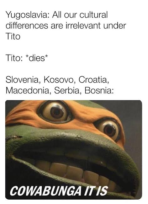 images (39).jpeg
