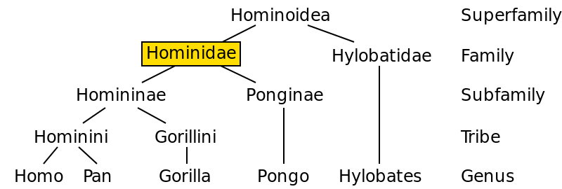 IMG_0130.PNG