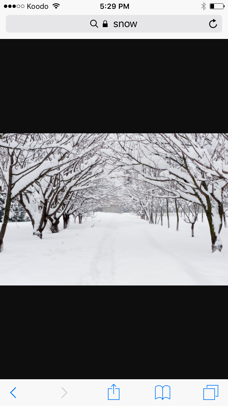 IMG_0165.PNG