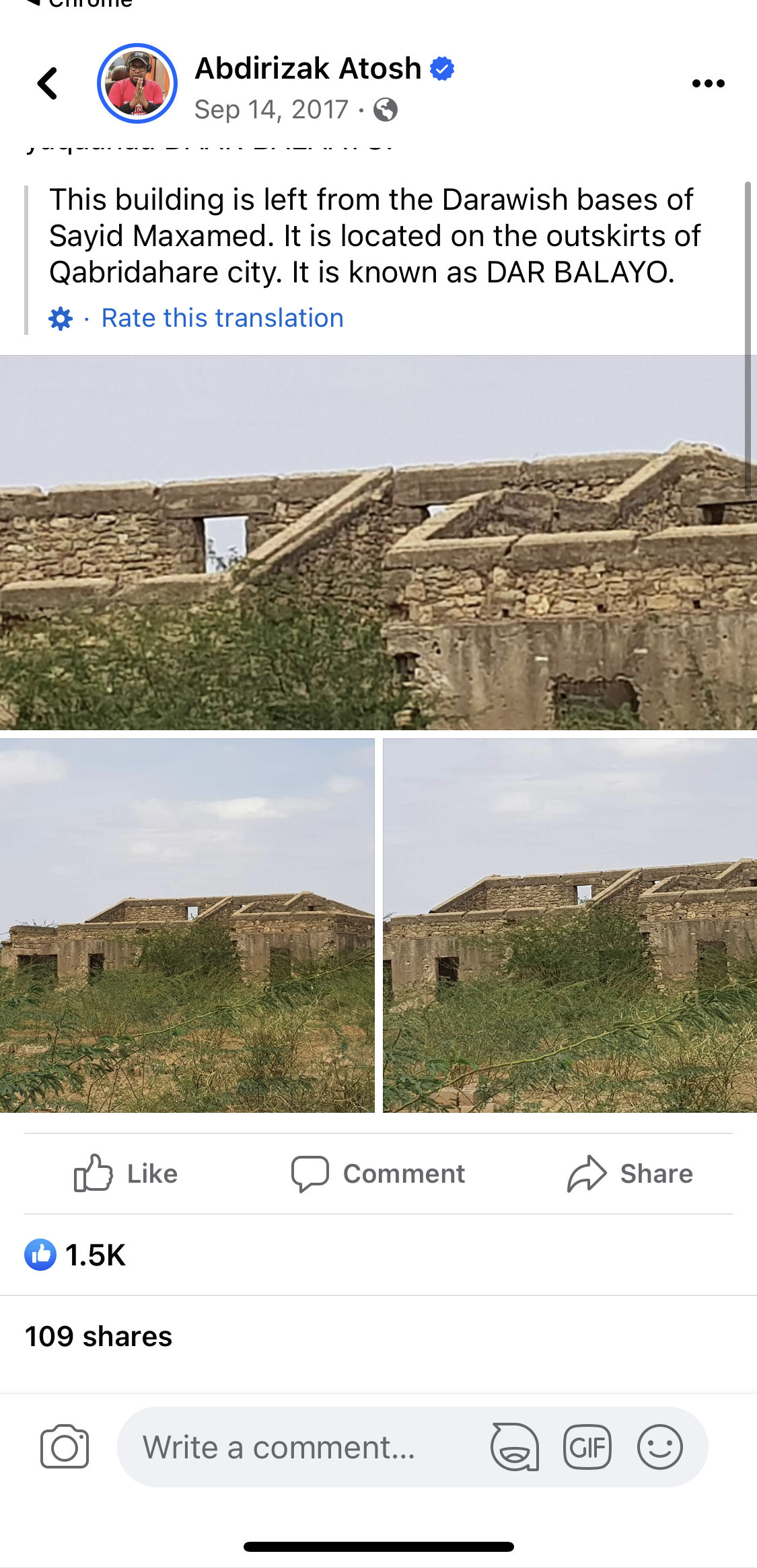 IMG_0203.jpeg