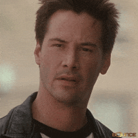 IMG_0593.gif