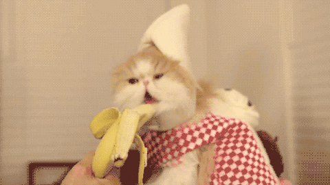 IMG_0835.GIF