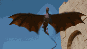IMG_1278.GIF