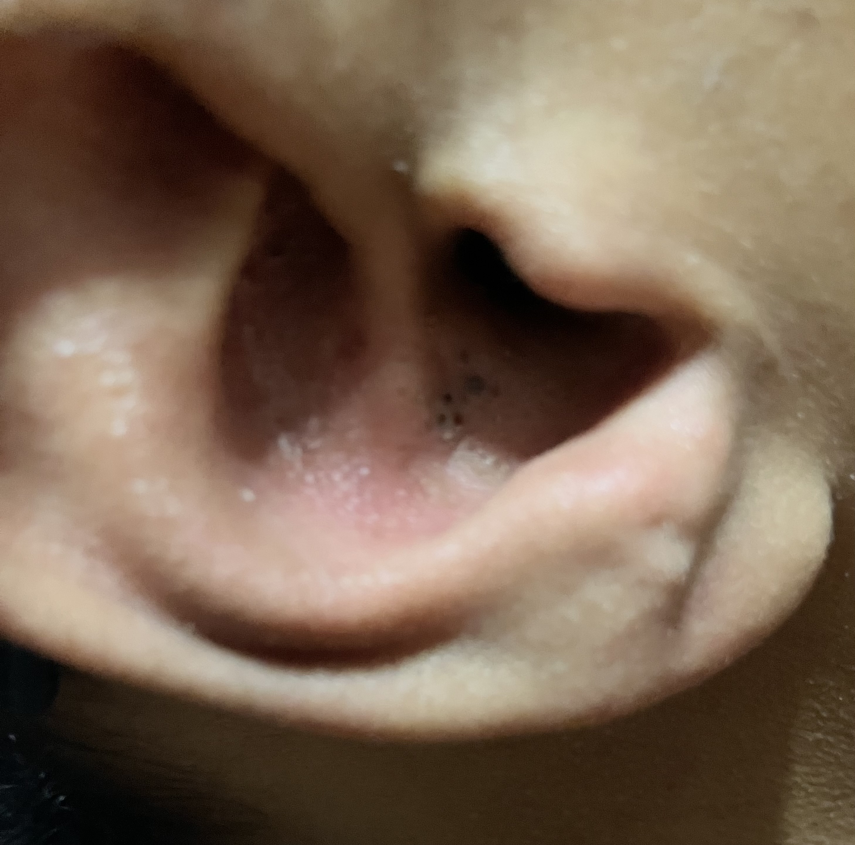 IMG_1517.jpeg