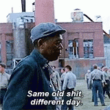 IMG_1923.gif