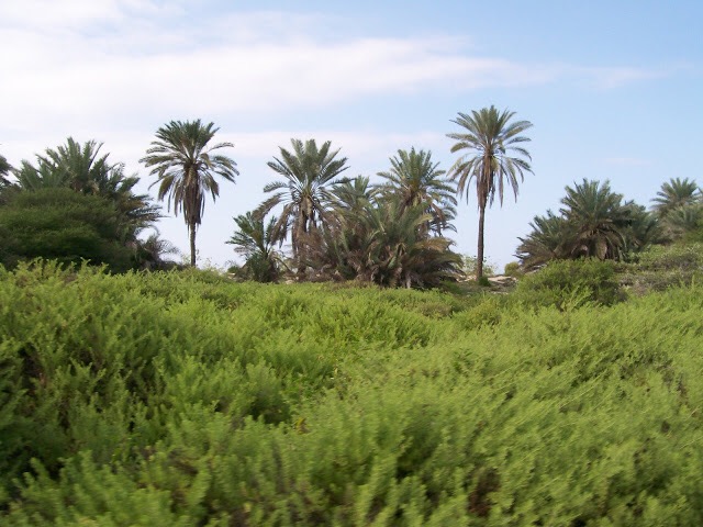 IMG_1938.JPG