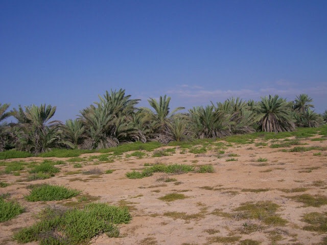 IMG_1939.JPG