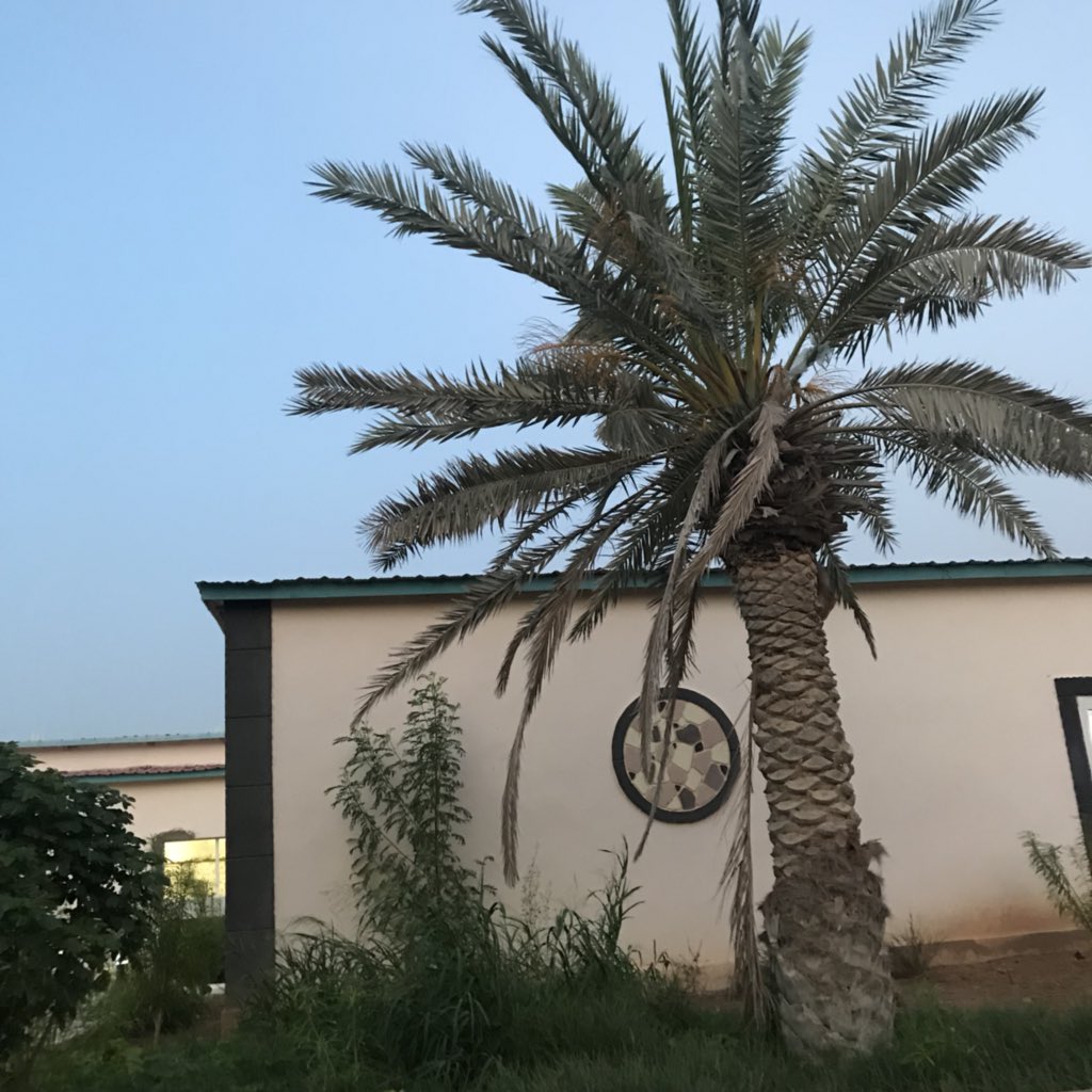 IMG_20180827_002638.jpg