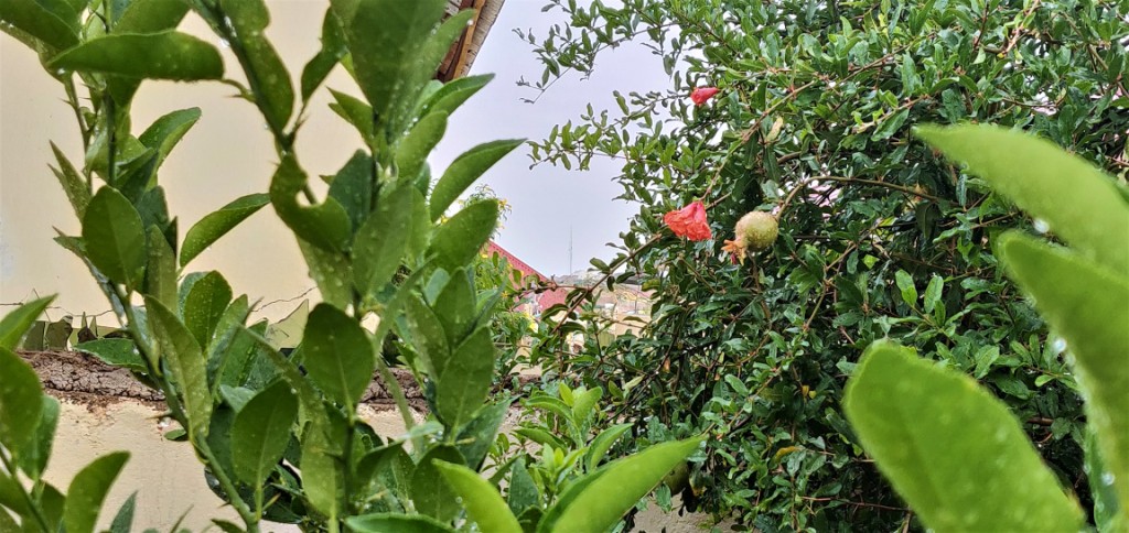 IMG_20181025_160404.jpg
